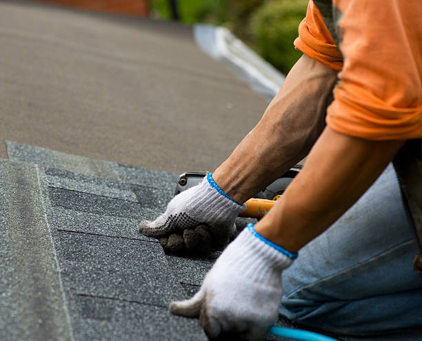 Roof Waterproofing Services in Verona, WI