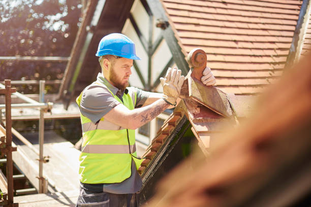 Best Roof Gutter Cleaning  in Verona, WI